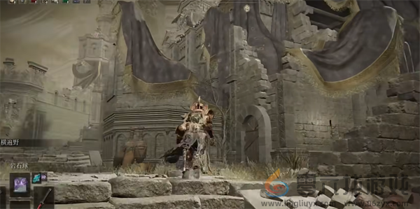 艾尔登法环dlc塔之镇井底钥匙具体位置介绍(图2)