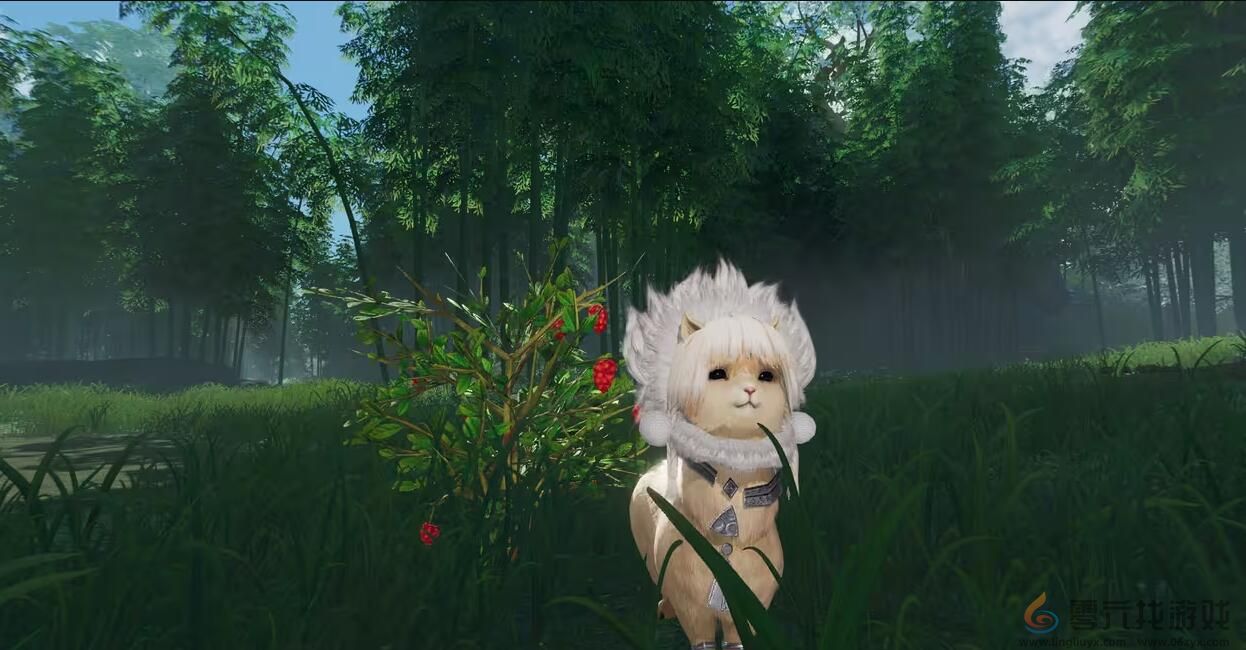 剑网3解心语宠物奇遇攻略(图3) 剑网3解心语宠物奇遇攻略(图3)