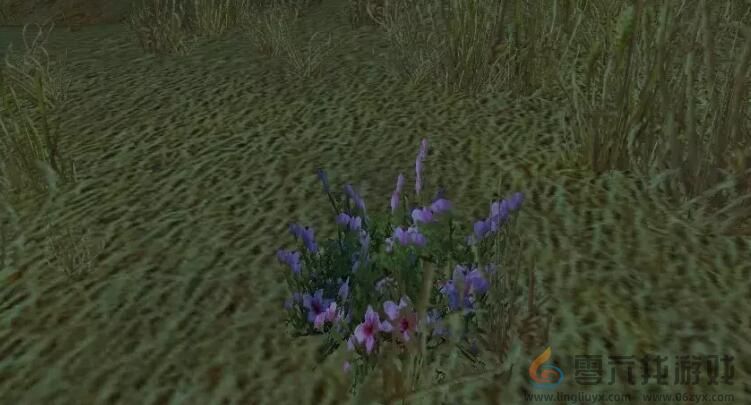 魔兽世界wlk草药1-450快速冲级攻略(图1)