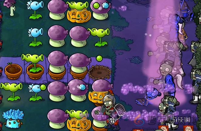 植物大战僵尸精华版冒险模式7-4怎么过(图5) 植物大战僵尸精华版冒险模式7-4怎么过(图5)