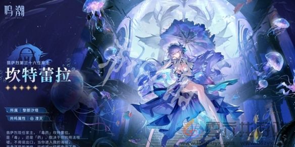 鸣潮2.8版本复刻角色一览(图7) 鸣潮2.8版本复刻角色一览(图7)